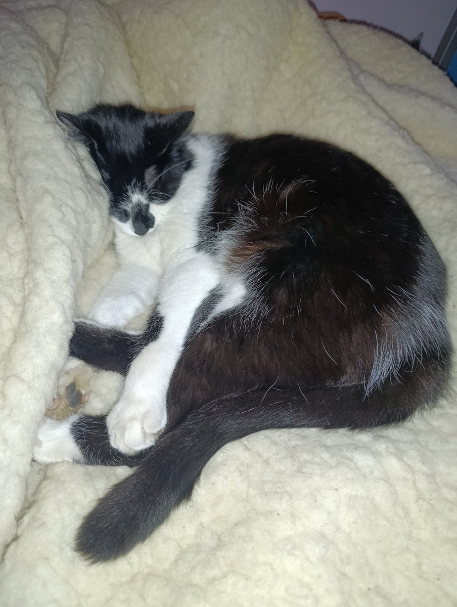 Lin // wicanny broker tweet media