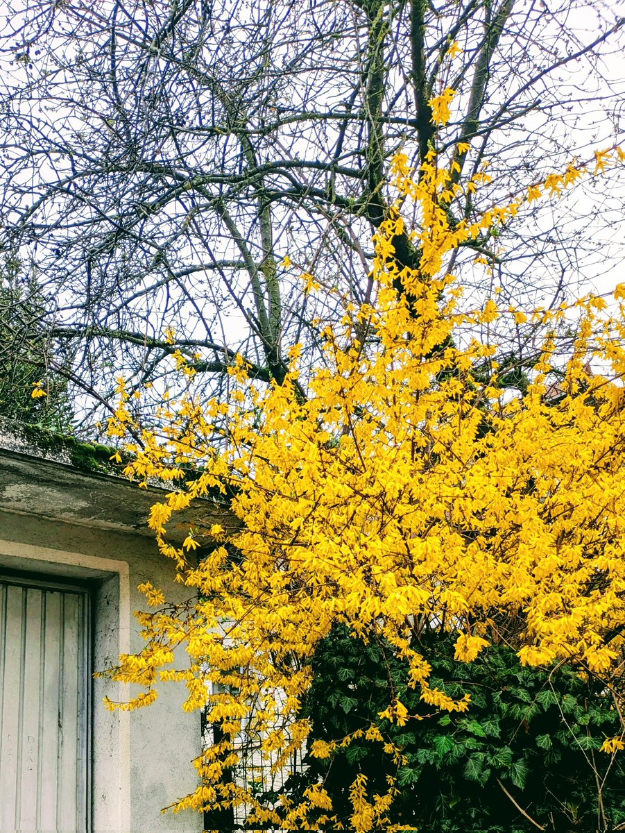 夏小雪（Yuki） tweet media