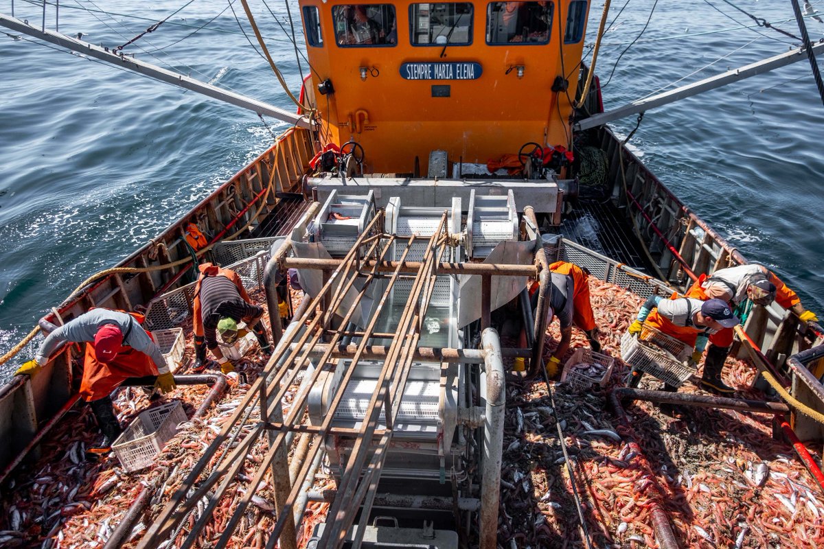 MARIAPRESS tweet media