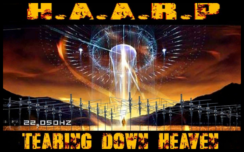 Ron Patton tweet media