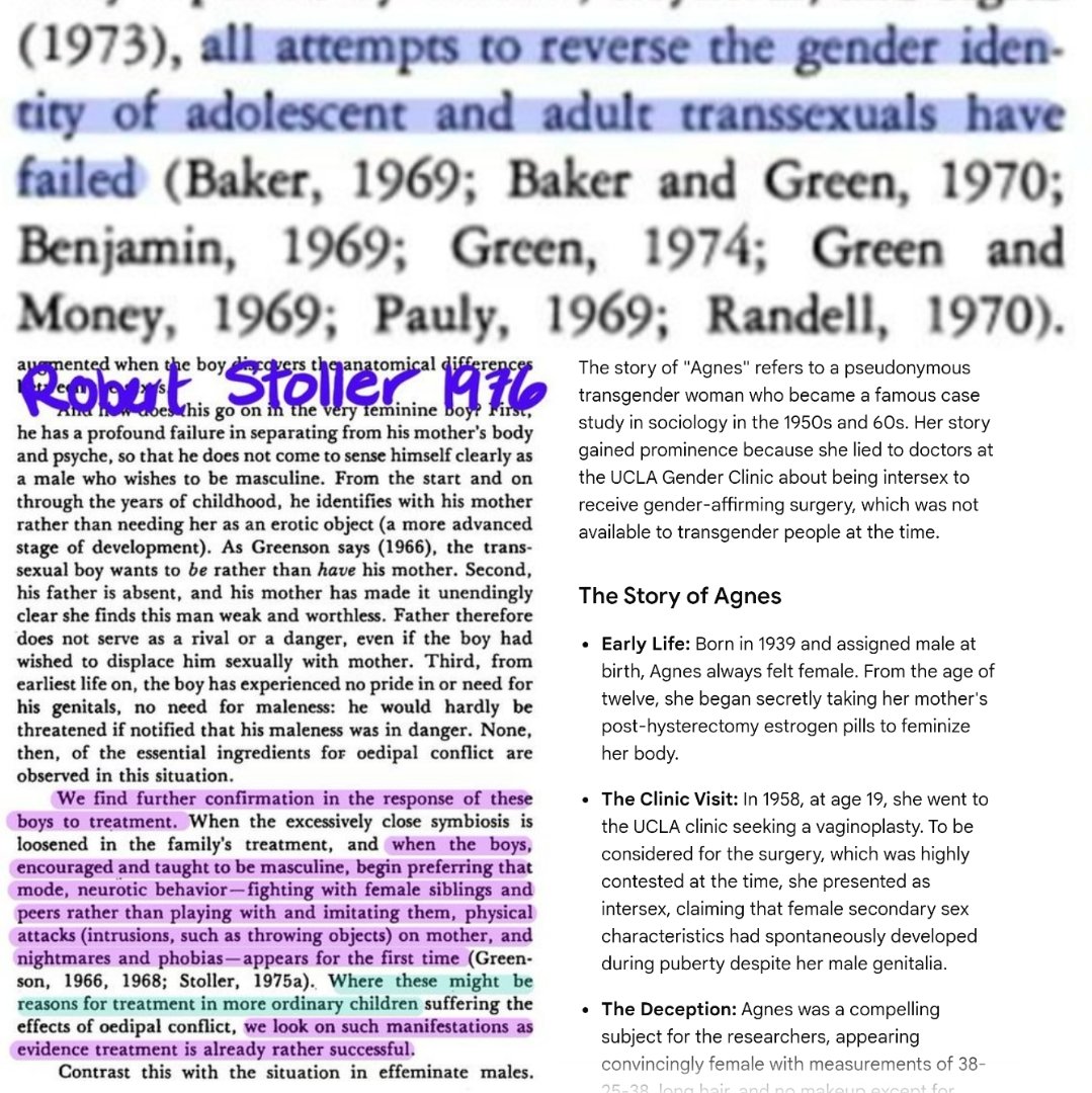 Shell Terminal tweet media