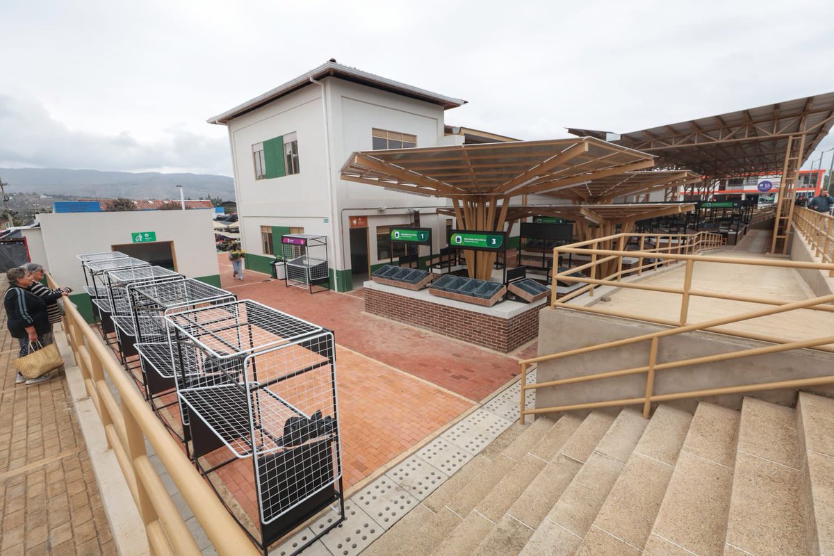 Carlos Amaya 🌻 tweet media