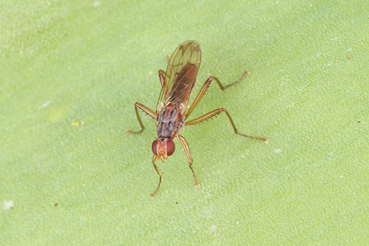 David Emley tweet media