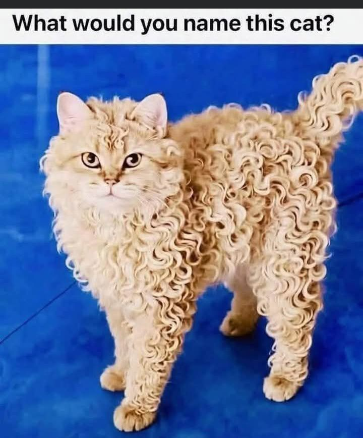 I am Ken tweet media