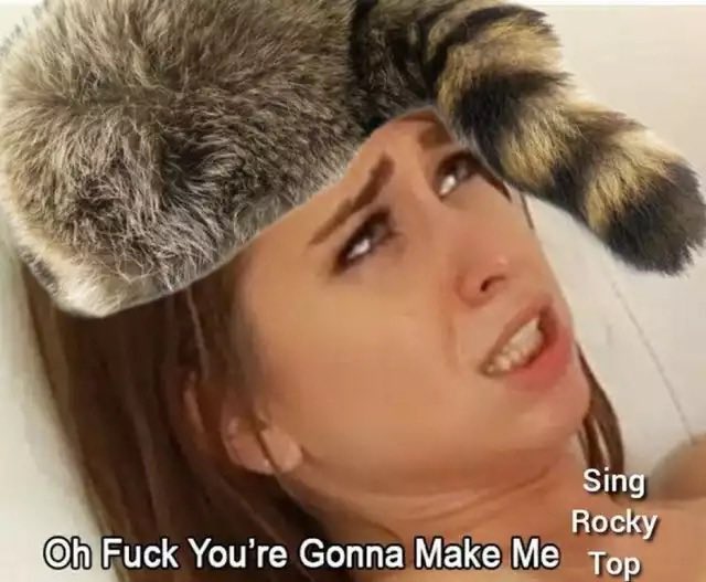 VOLatile Fan tweet media