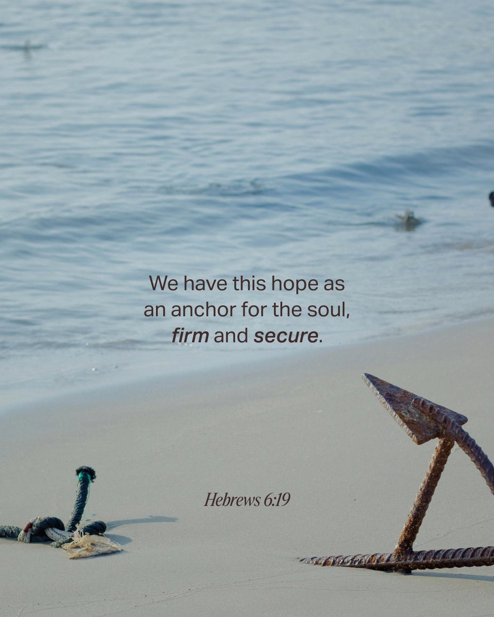 YouVersion Bible App tweet media