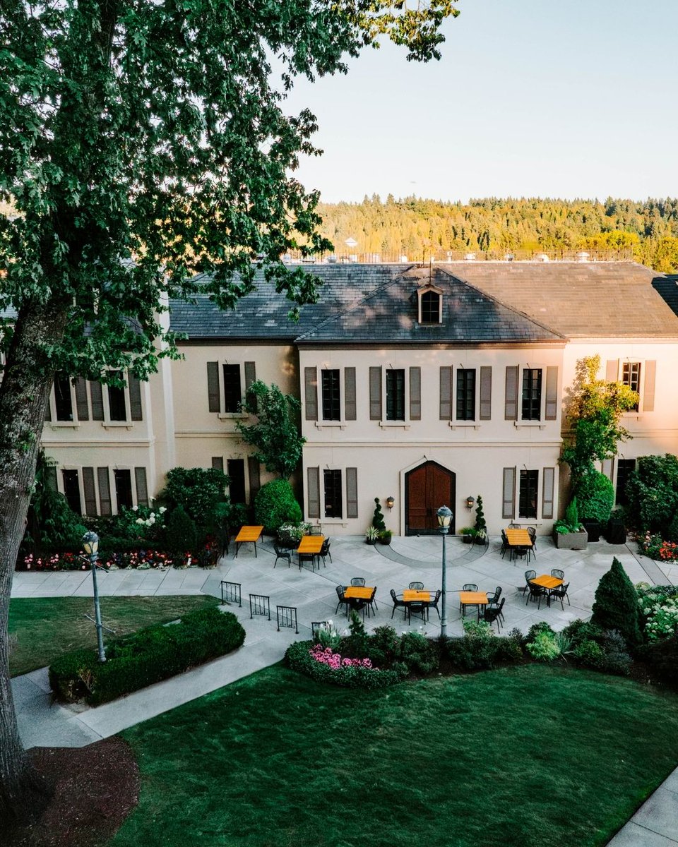 Sip Magazine tweet media