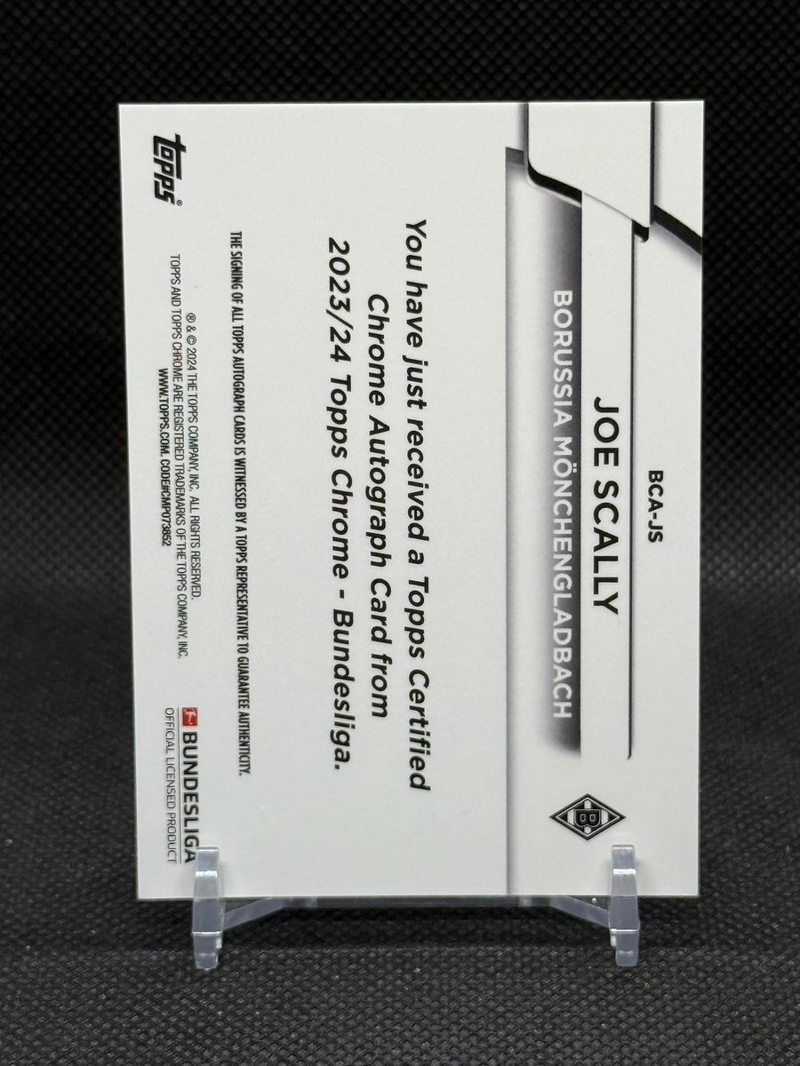 La Flama Blanca tweet media