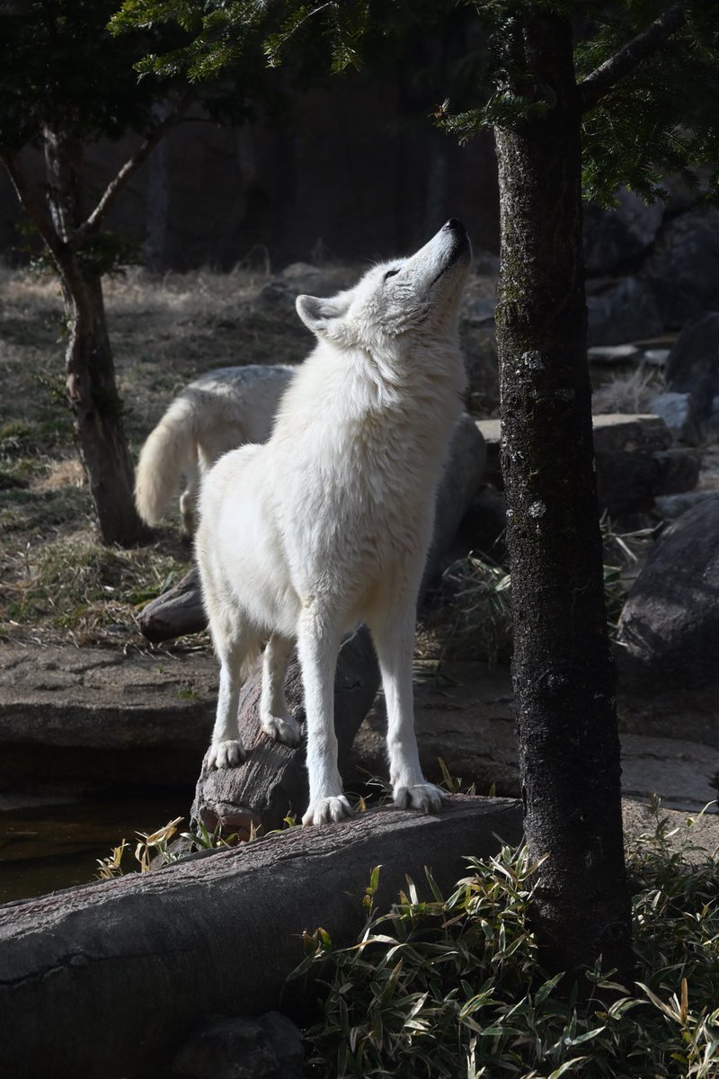 A̷̡̖̼̲̖͎̦̣͔̤̟͖̳̔̉̊̓̇̋̌͝͝͝ͅw̶̫̬̣̟̼̭͖̰̣̥̯͍̜͙̋̓͘͜o̸̾̕ tweet media