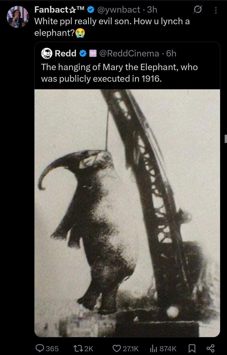 captive dreamer tweet media