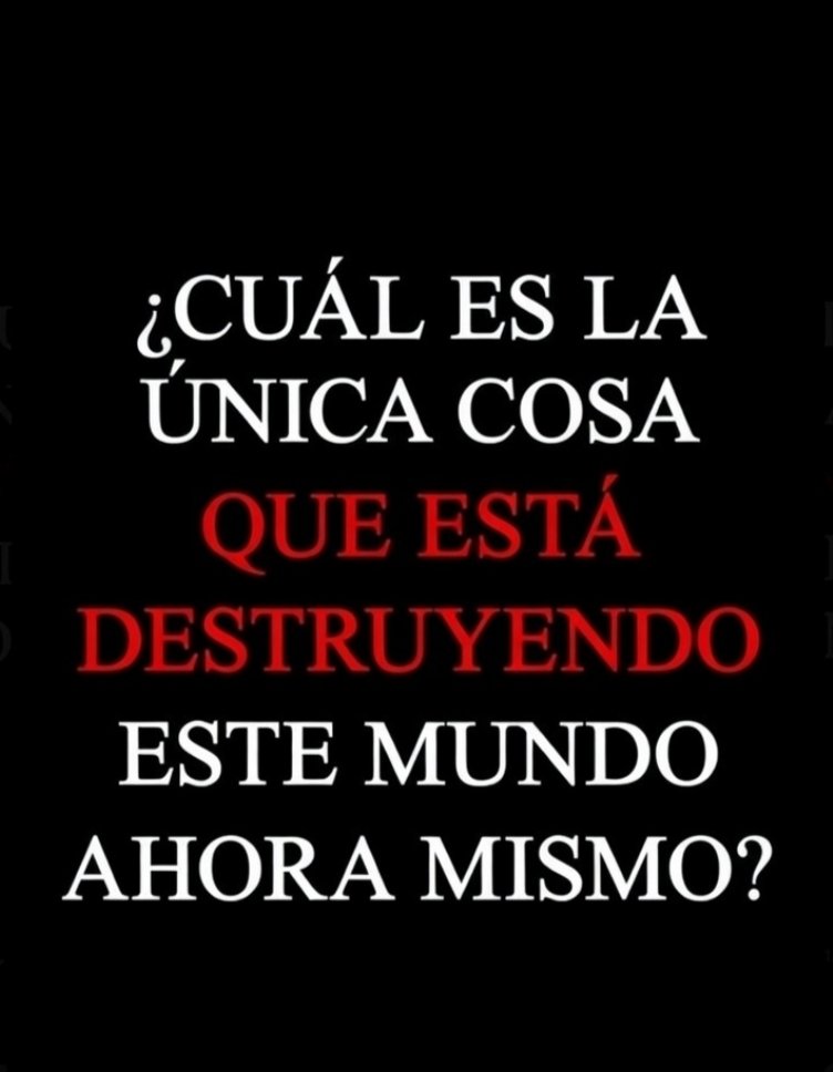 SolidKroket tweet media