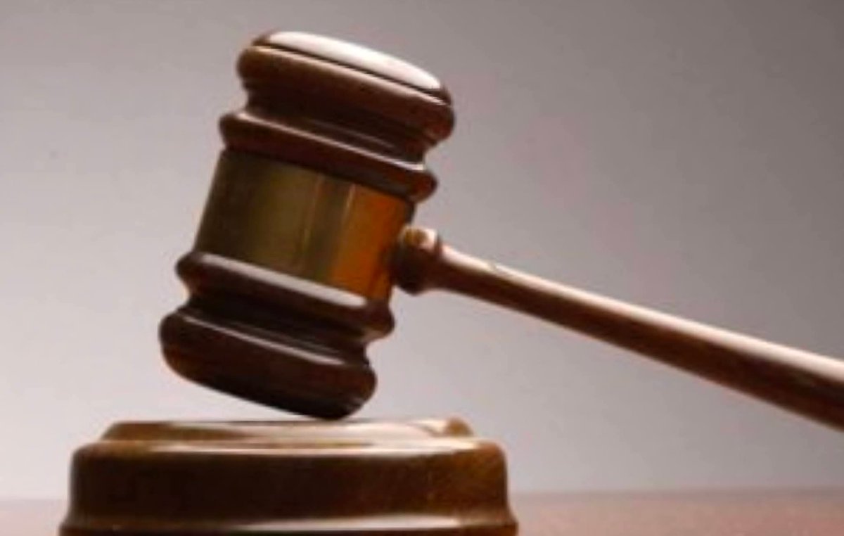 Tiago Raposo tweet media