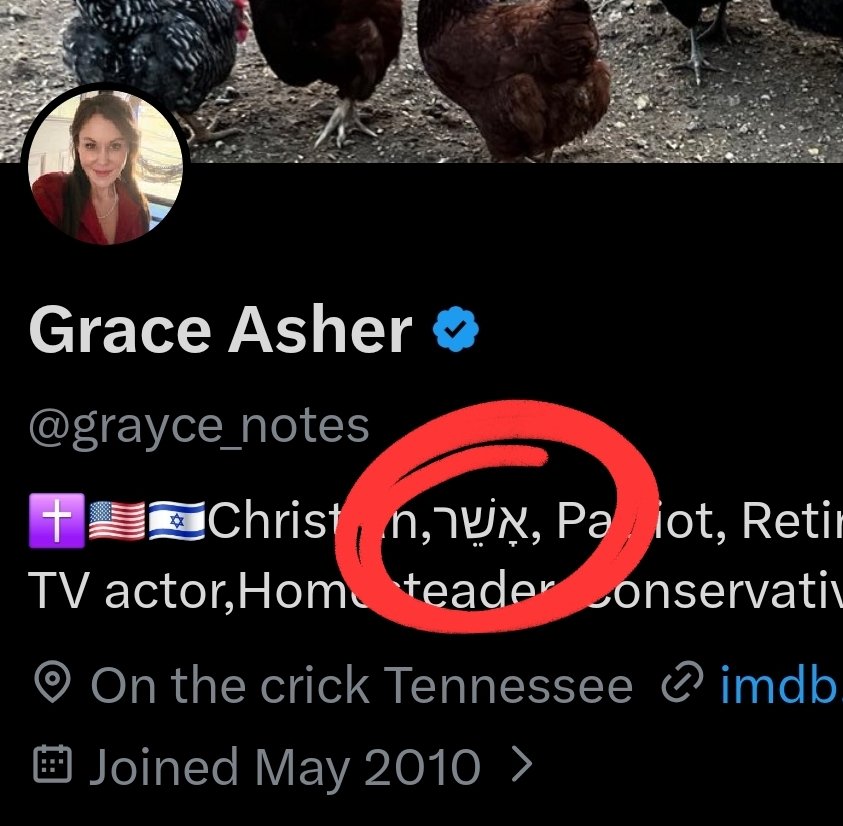 The Dibster tweet media