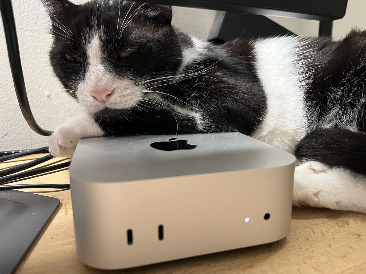 dee homak tweet media