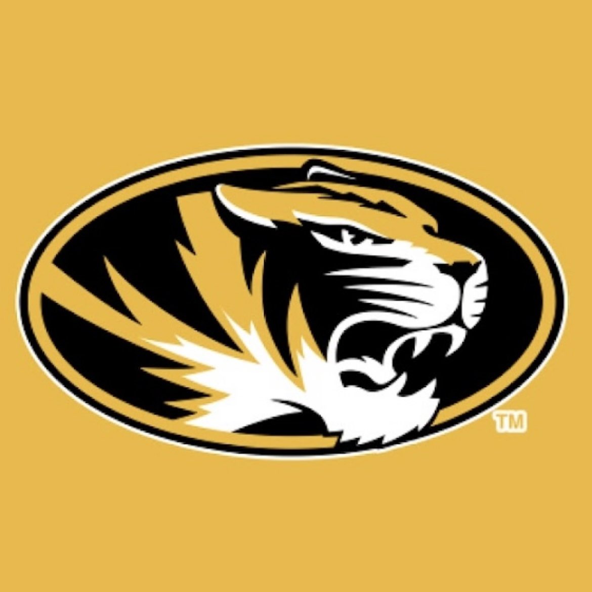 College Football Zone tweet media