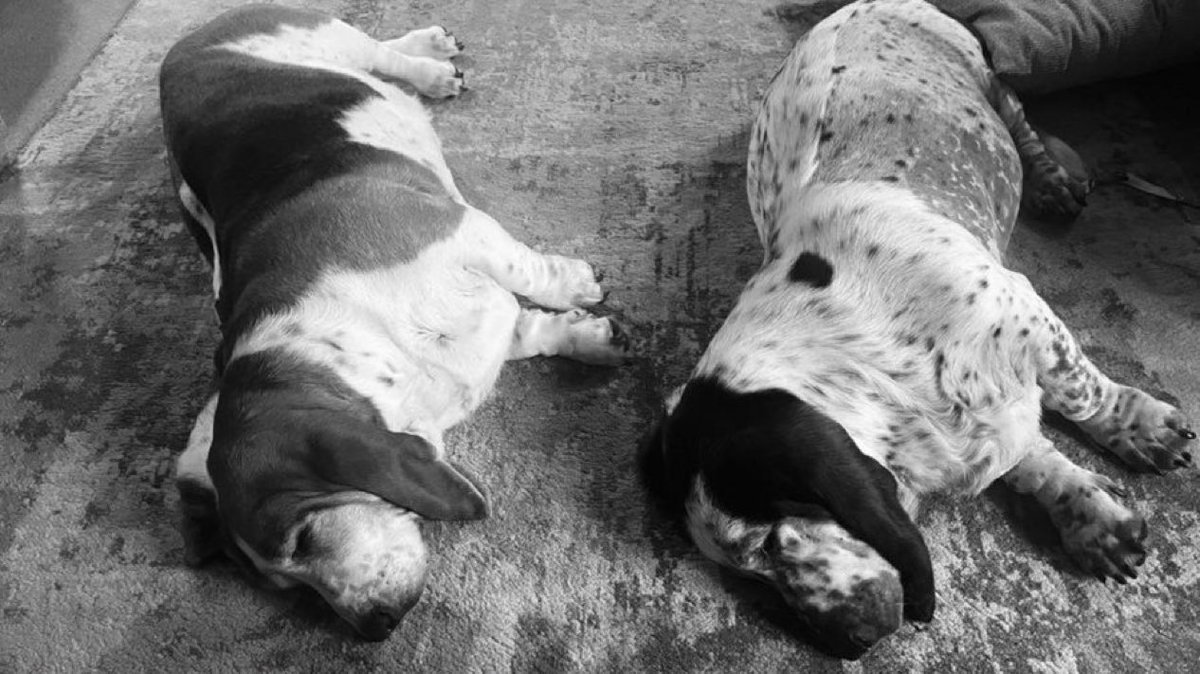 Phil Sledge tweet media