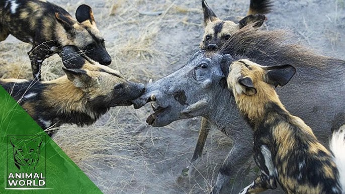 Hecaomtbz tweet media