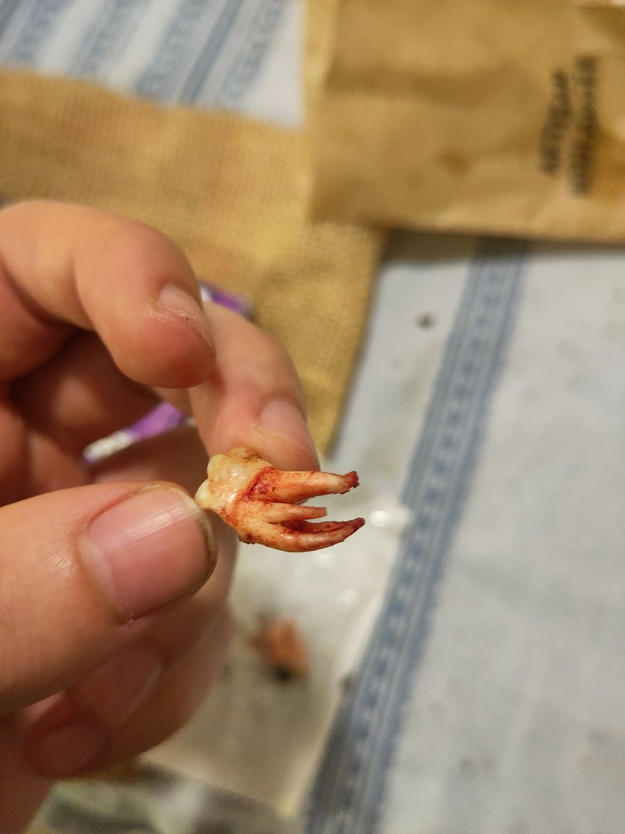 vals🔸 tweet media