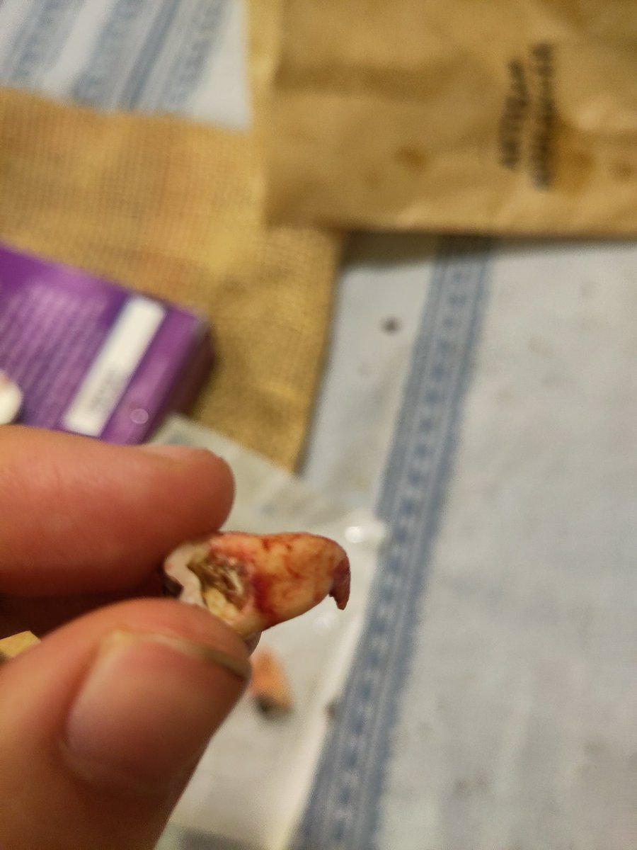 vals🔸 tweet media