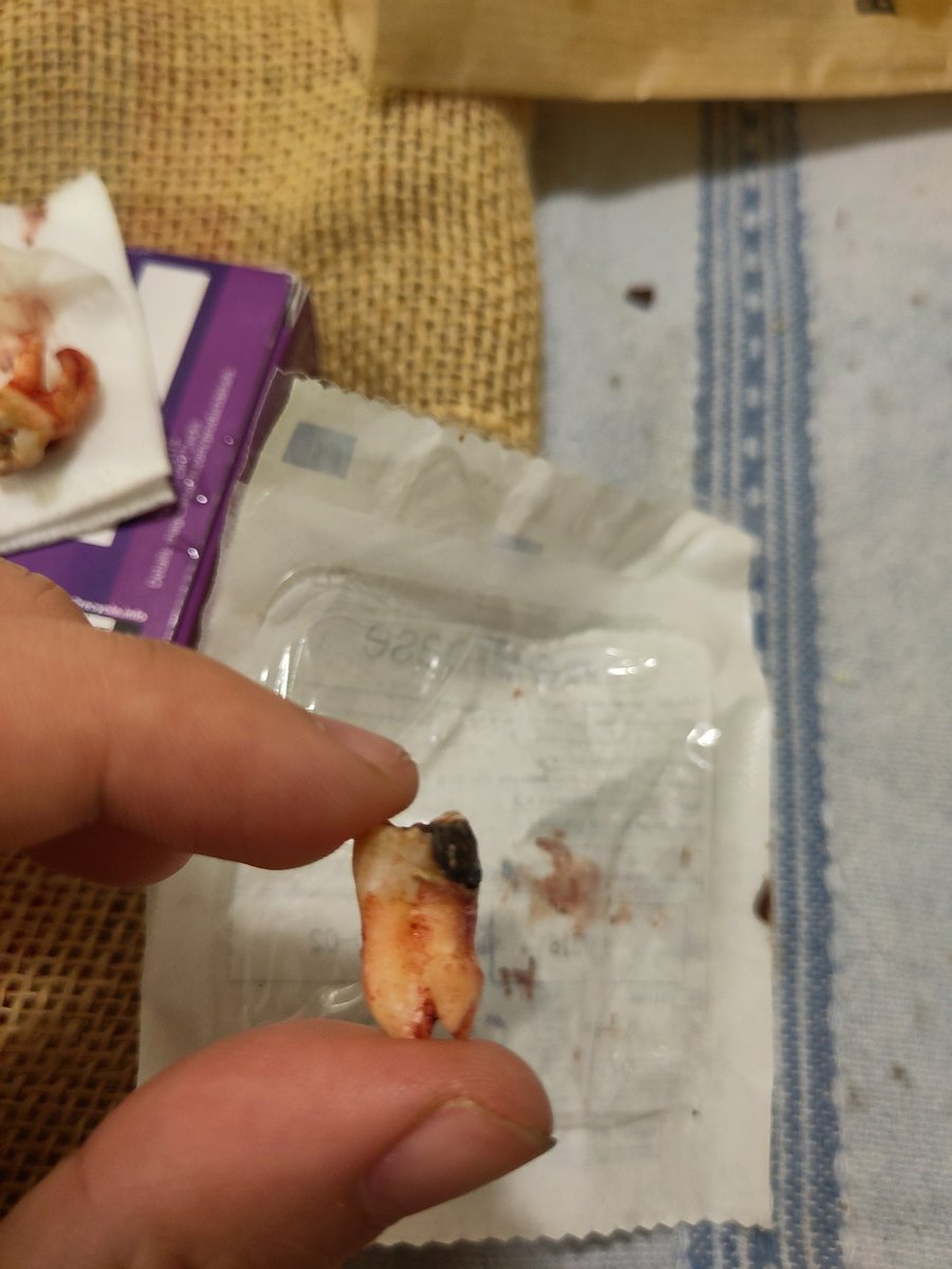 vals🔸 tweet media