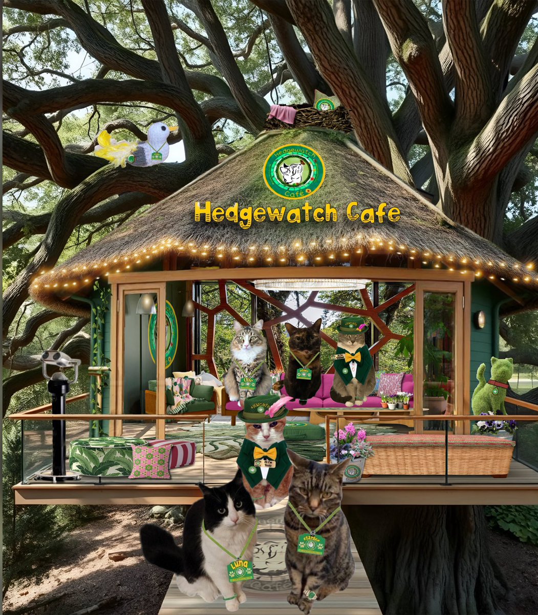 Hedgewatch tweet media