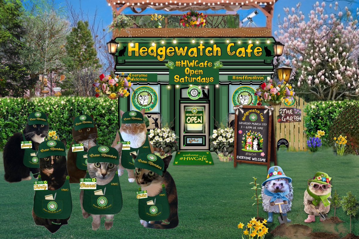 Hedgewatch tweet media