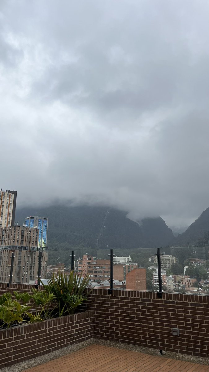 Camila Gaitán. tweet media