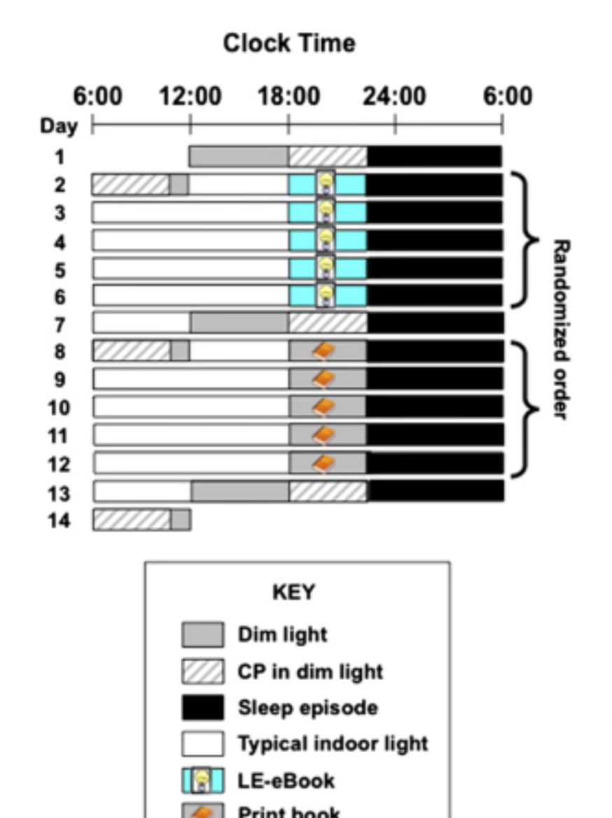 Rock Mada tweet media
