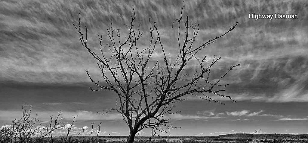 Gregory Highway Hasman tweet media