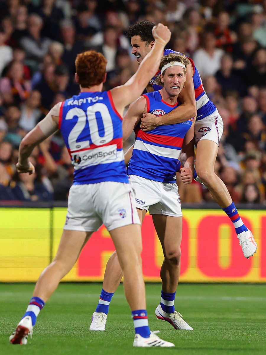 Western Bulldogs tweet media