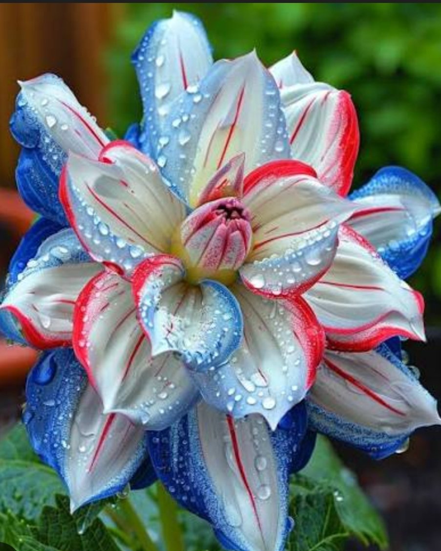 Yomi Dumb 🍪🍫 tweet media