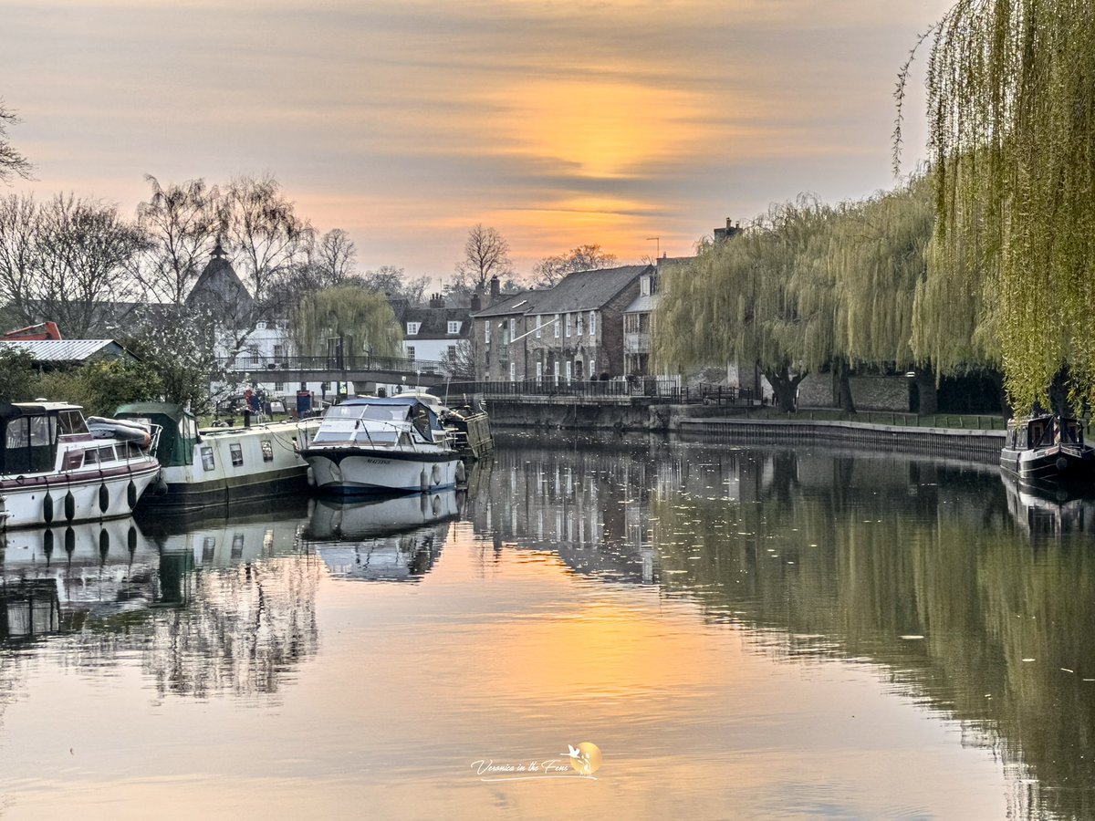 Veronica in the Fens 🧚🏼♀️ My Heart in Nature tweet media