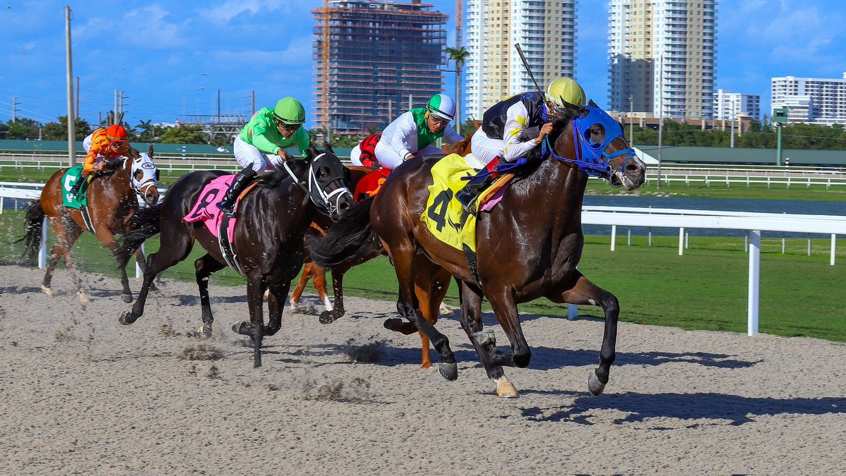 Gulfstream Park tweet media