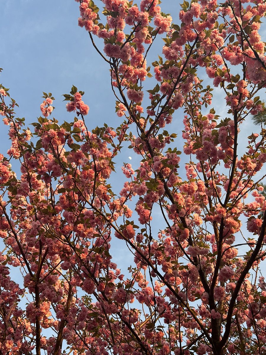 ๐๐๐๐๐๐๐๐๐ ๐ฉ๊จ๏ธ๐ช tweet media