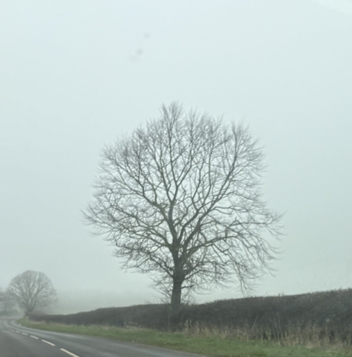 ALASTAIR CAMPBELL tweet media