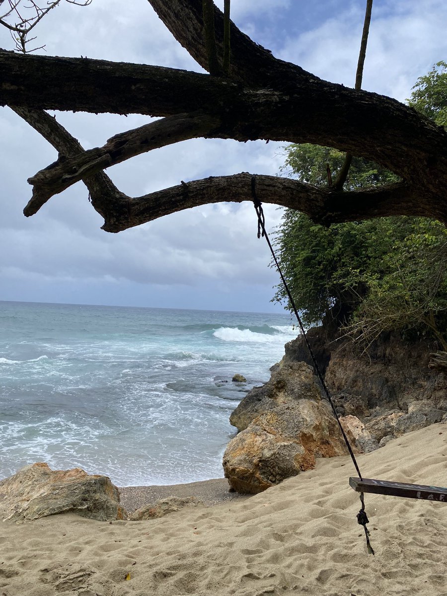 Dr. E.G. Vitulli Ph.D. tweet media