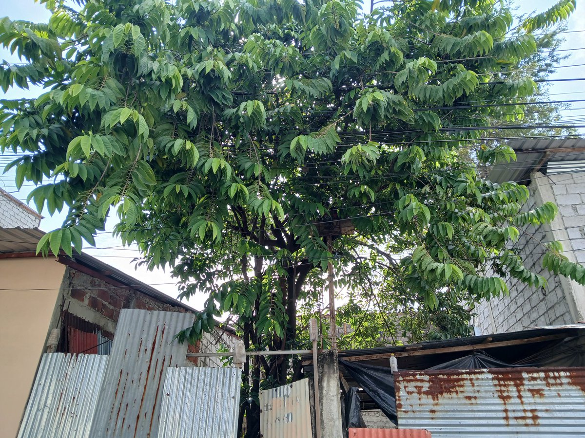 Prexioza tweet media