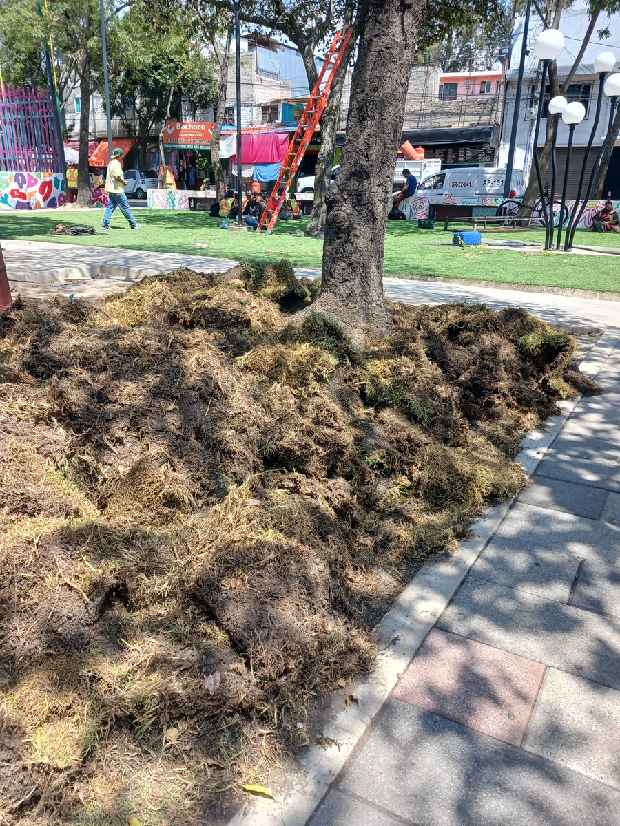 Daniel Albarrán tweet media