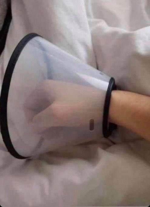 Bisexual Single tweet media