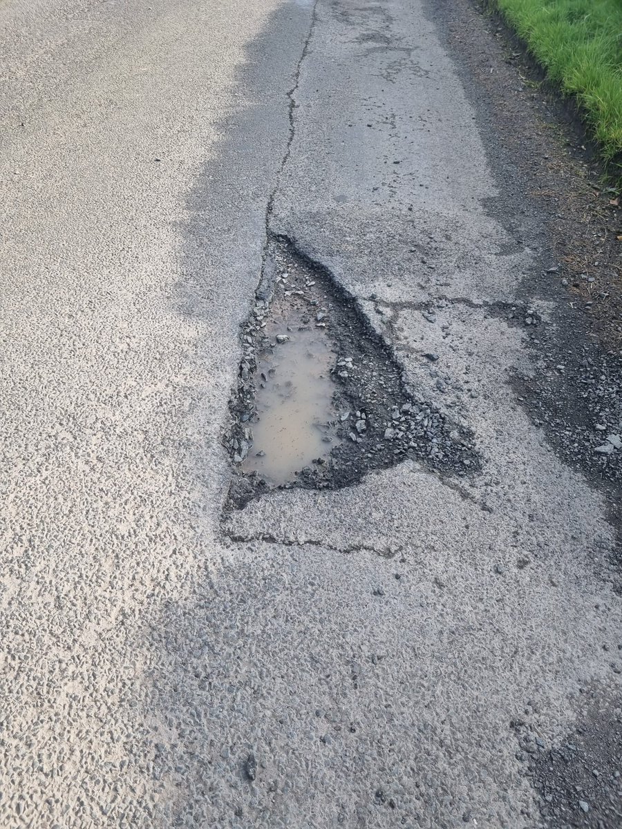 🌼 P.Ceee🌼 tweet media