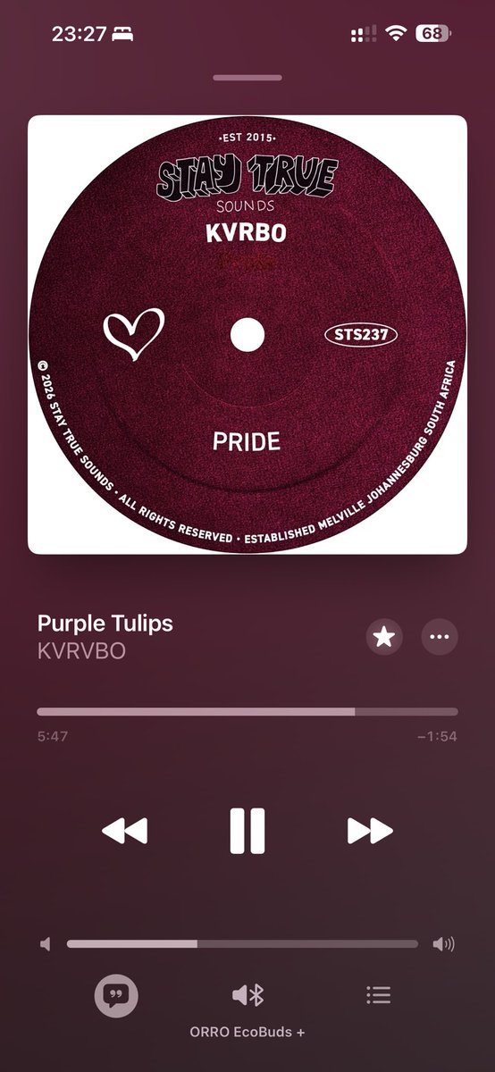 KgaoNgobz's tweet photo. My ears have been blessed 🙌🏼🙌🏼🙌🏼🙌🏼 #KVRVBO #PurpleTulips #HouseMusicIsLife https://t.co/nq0HazXauR
