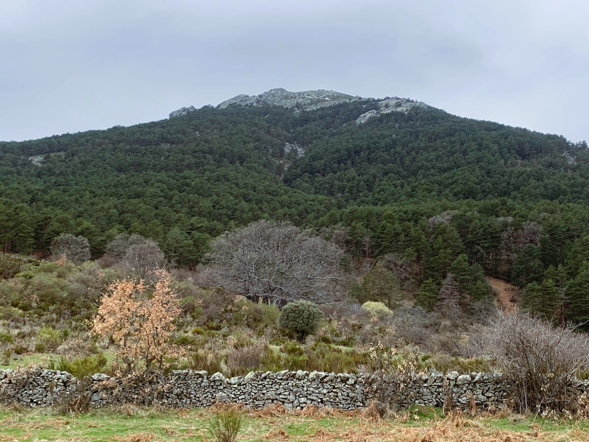 Gabriela tweet media