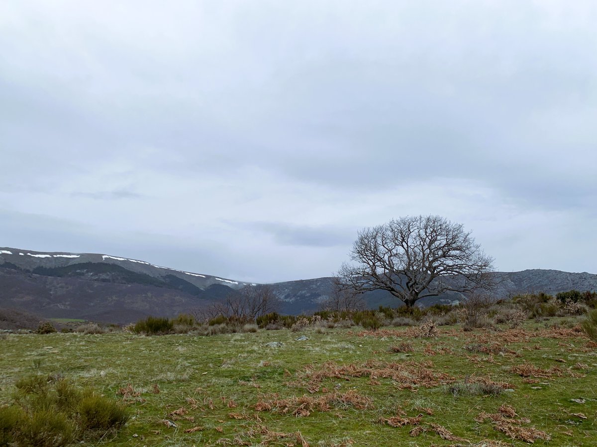 Gabriela tweet media