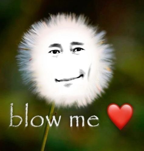 sprotte 𐙚 tweet media