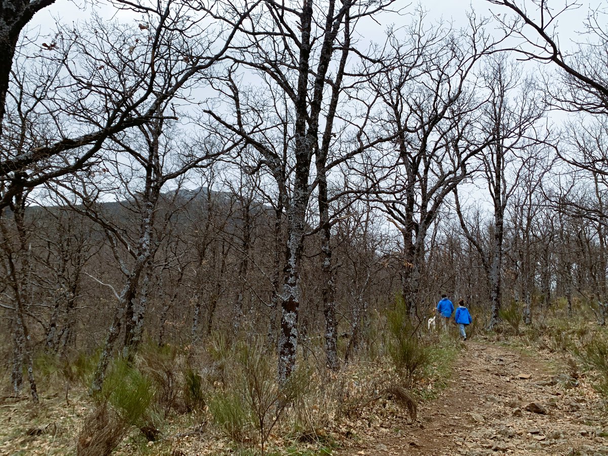 Gabriela tweet media