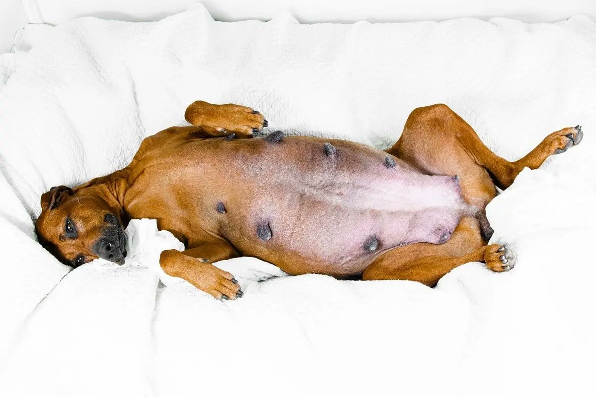 Łukasz Bonzel tweet media