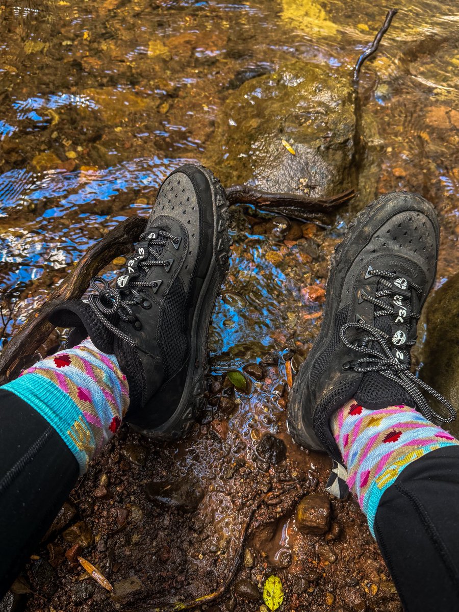 K. Mbappe’s Wife 🇫🇷 tweet media