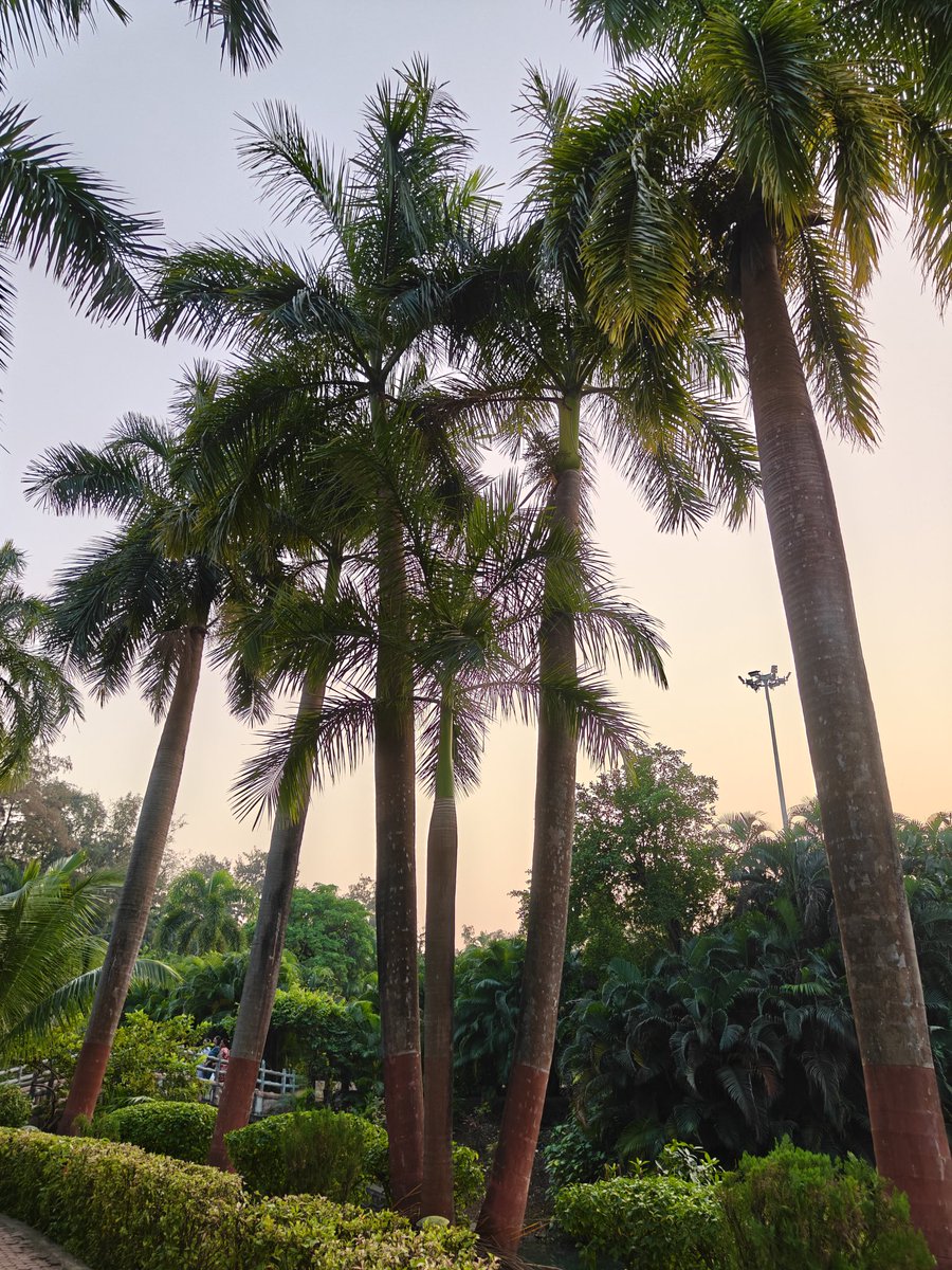 niru💋🪩 tweet media