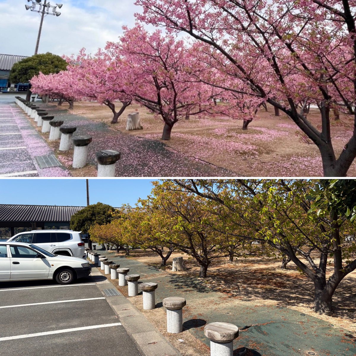 沖潮英伸【経営者となんちゃって俳優】 tweet media