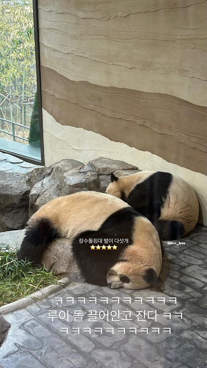 nanifubao tweet media